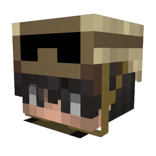 Wonder3131 Minecraft avatar head, 3D render