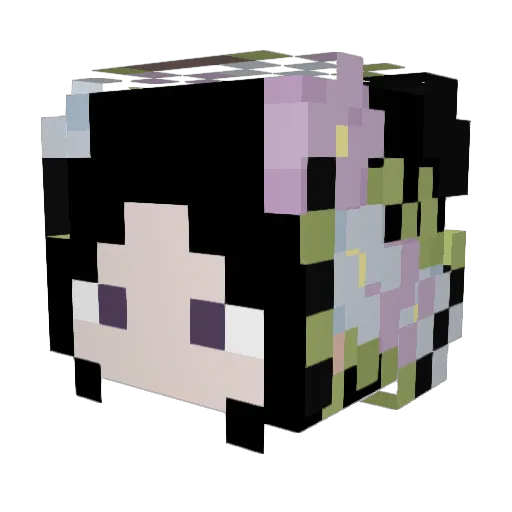 WonderAffect Minecraft avatar head, 3D render
