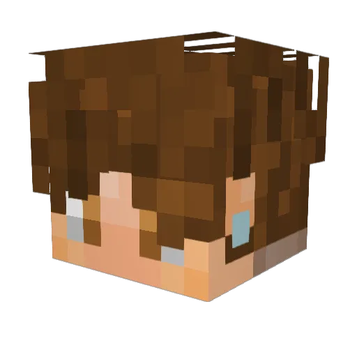 WonderArcher150 Minecraft avatar head, 3D render