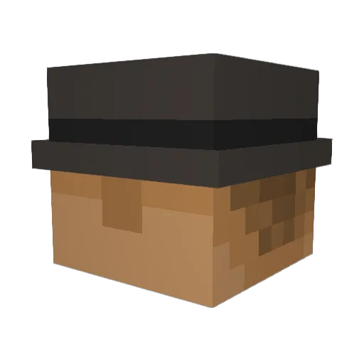 WonderCubeMC Minecraft avatar head, 3D render