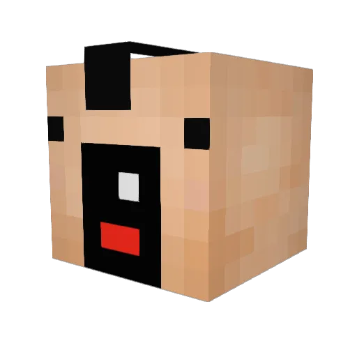 WonderEgg Minecraft avatar head, 3D render