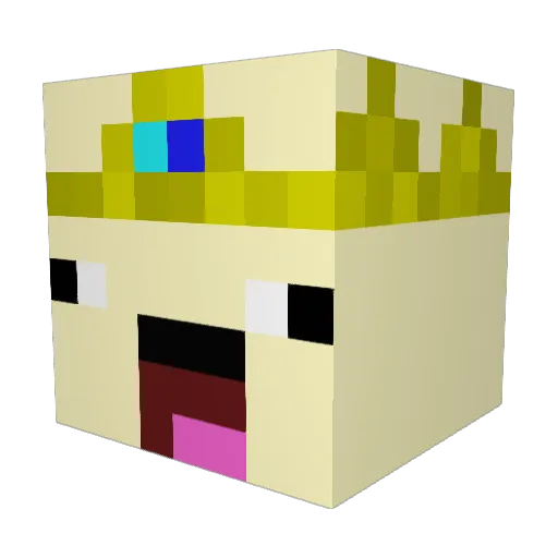 WonderGamer05 Minecraft avatar head, 3D render
