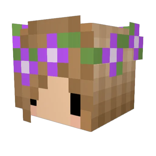 WonderGirl1003 Minecraft avatar head, 3D render