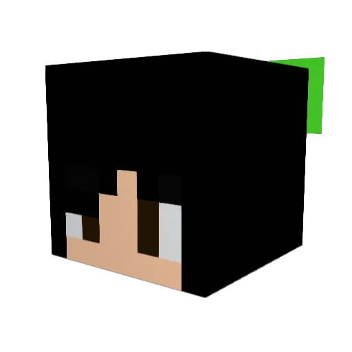 WonderHuntress Minecraft avatar head, 3D render