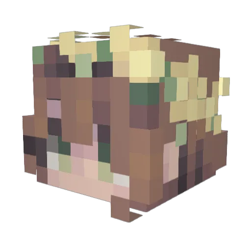 WonderJackie Minecraft avatar head, 3D render