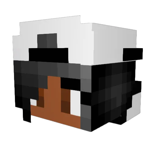 WonderLemon Minecraft avatar head, 3D render
