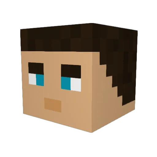 WonderLord Minecraft avatar head, 3D render