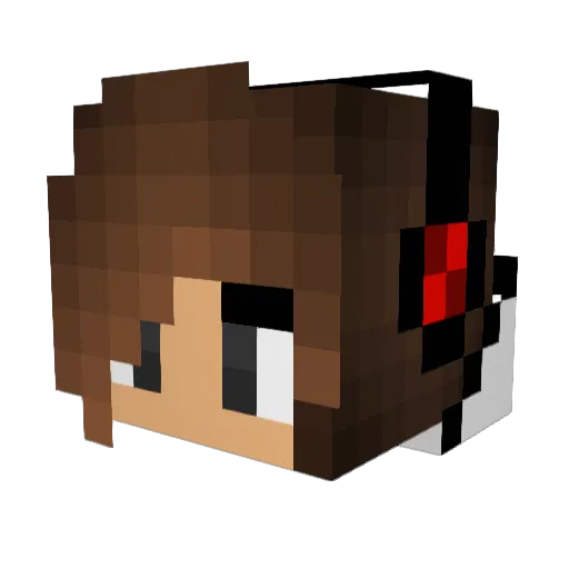 WonderVony Minecraft avatar head, 3D render