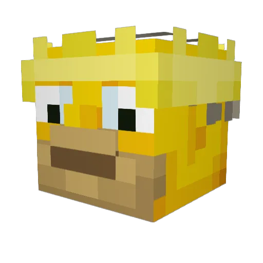 WonderWagon Minecraft avatar head, 3D render