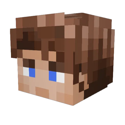 WonderWhying Minecraft avatar head, 3D render