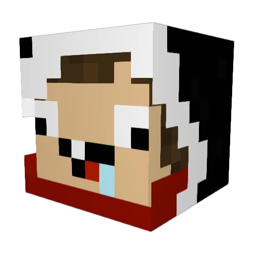 WonderWolf97 Minecraft avatar head, 3D render