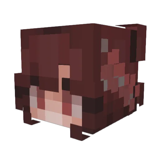 WonderWolfy_236 Minecraft avatar head, 3D render