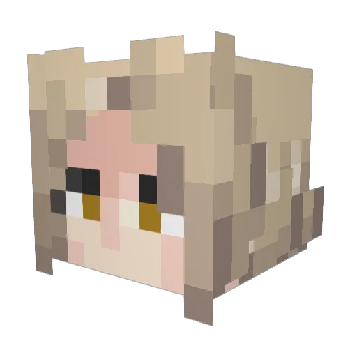 Wonder_Boke Minecraft avatar head, 3D render