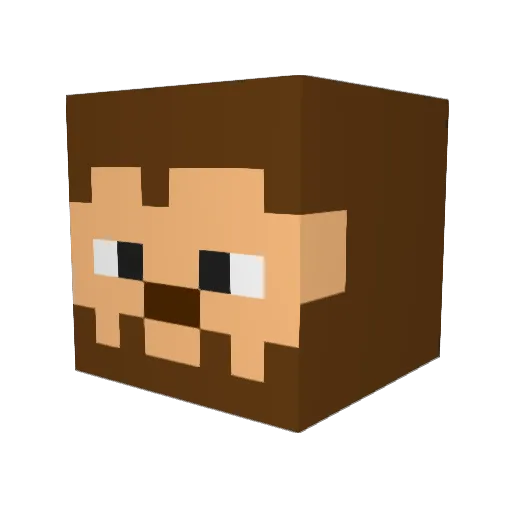Wonder_Chimp_LA Minecraft avatar head, 3D render