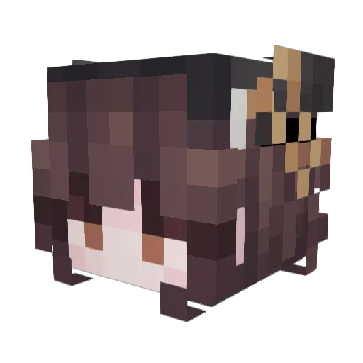 Wonder_fopet Minecraft avatar head, 3D render