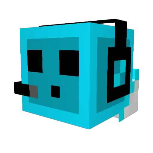 Wonderboy10 Minecraft avatar head, 3D render