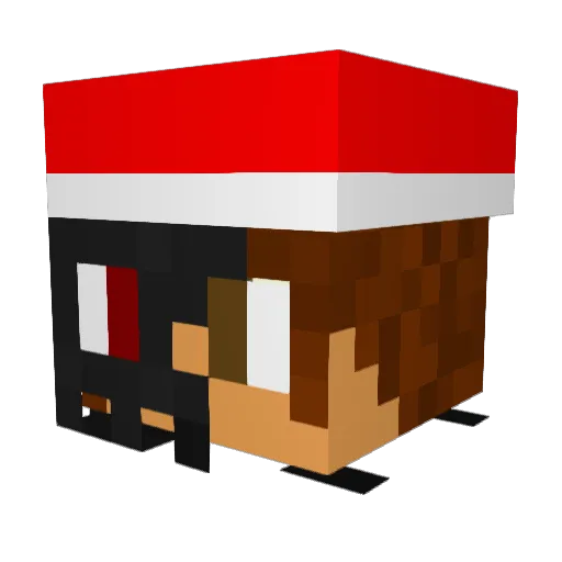 Wonderem Minecraft avatar head, 3D render