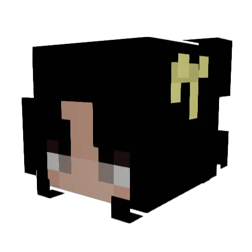 Wonderfuls Minecraft avatar head, 3D render