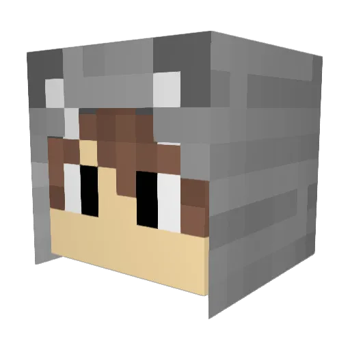 Wonderhamster66 Minecraft avatar head, 3D render