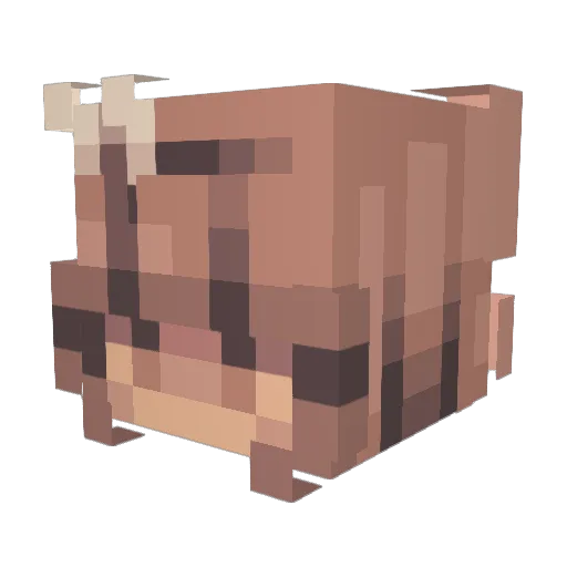 WonderingCorpse Minecraft avatar head, 3D render