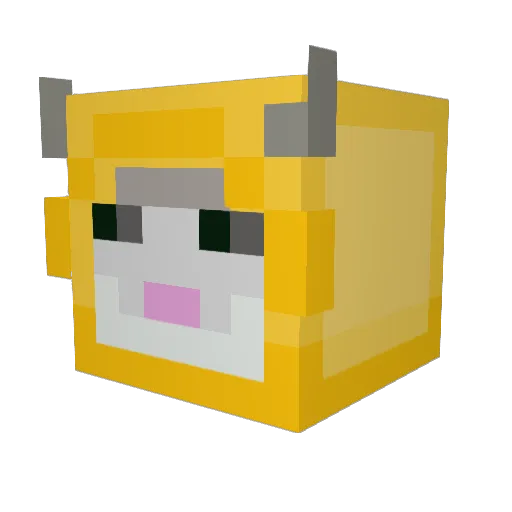 Wonderinoo Minecraft avatar head, 3D render