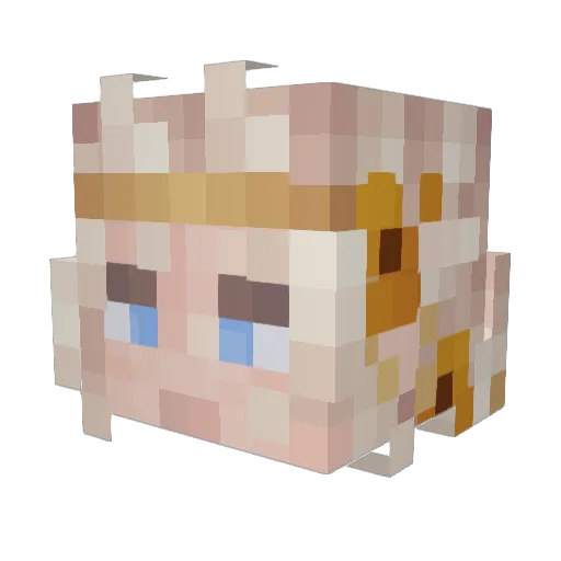 Wonderland_B0y Minecraft avatar head, 3D render