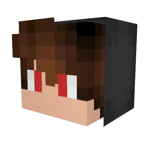 Wonderlord02 Minecraft avatar head, 3D render
