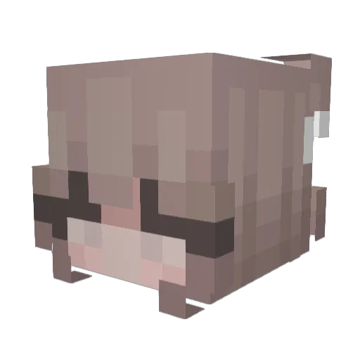 Wondermore Minecraft avatar head, 3D render