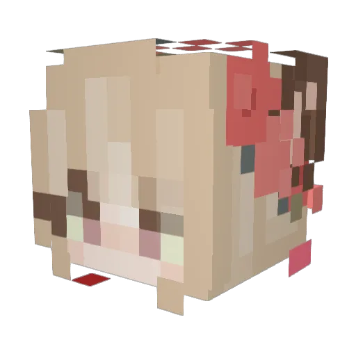 Wondersky28 Minecraft avatar head, 3D render