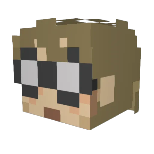 Wondersoy_ Minecraft avatar head, 3D render