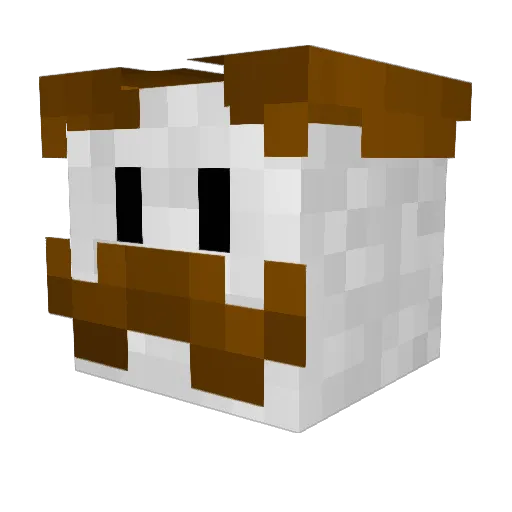 Wonem Minecraft avatar head, 3D render