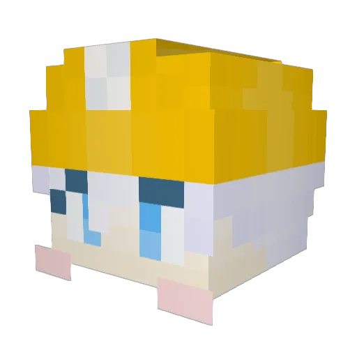 Woni_ Minecraft avatar head, 3D render
