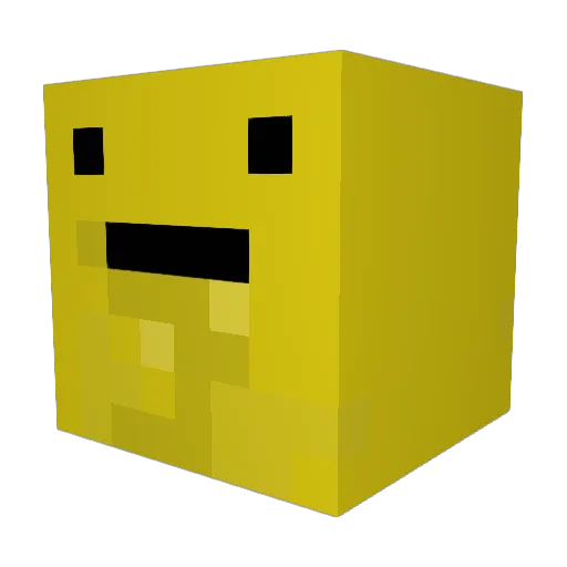 Wonk0 Minecraft avatar head, 3D render