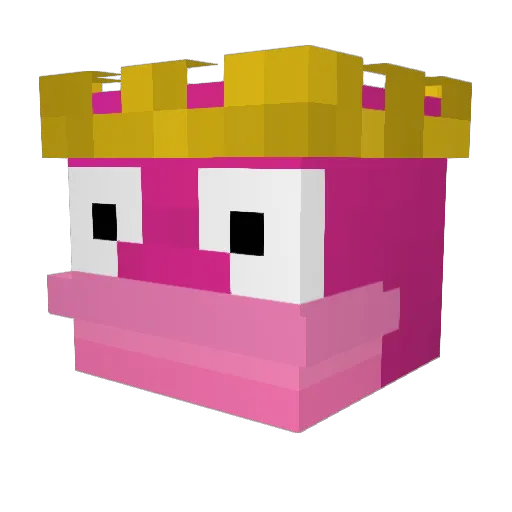 WontLove Minecraft avatar head, 3D render