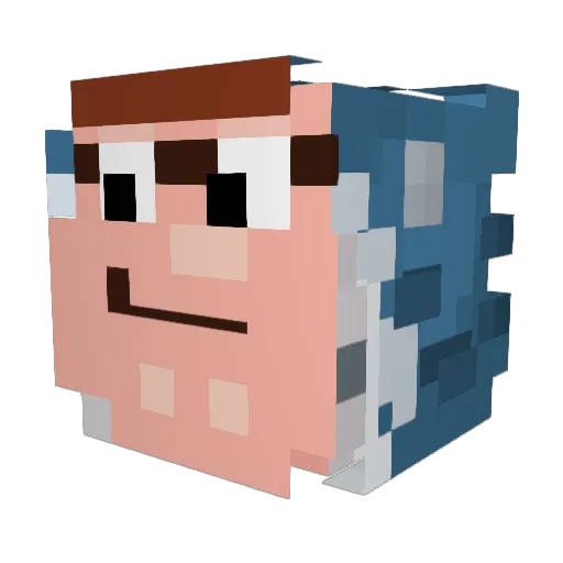 WontTry Minecraft avatar head, 3D render