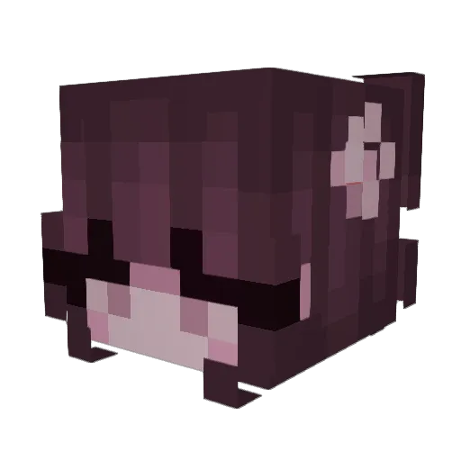 WontonSoup33 Minecraft avatar head, 3D render