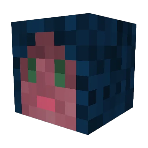 WontonWizard01 Minecraft avatar head, 3D render