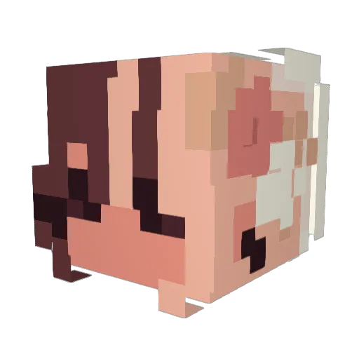 Wonton_707 Minecraft avatar head, 3D render
