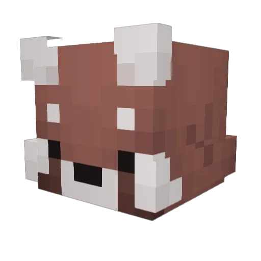 Wony__ Minecraft avatar head, 3D render