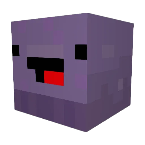 WooKiEWaRRioRR Minecraft avatar head, 3D render