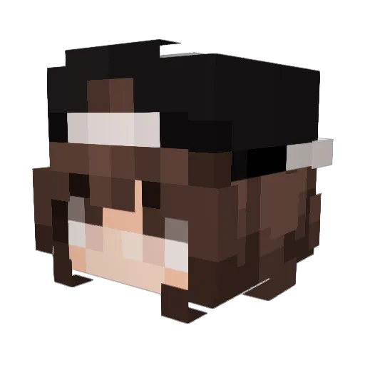 WooReo21 Minecraft avatar head, 3D render