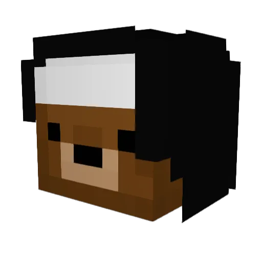 Wooble Minecraft avatar head, 3D render