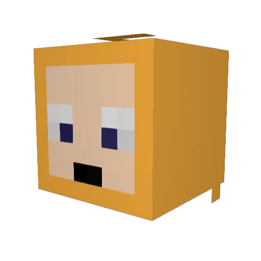 Wooblypoo Minecraft avatar head, 3D render