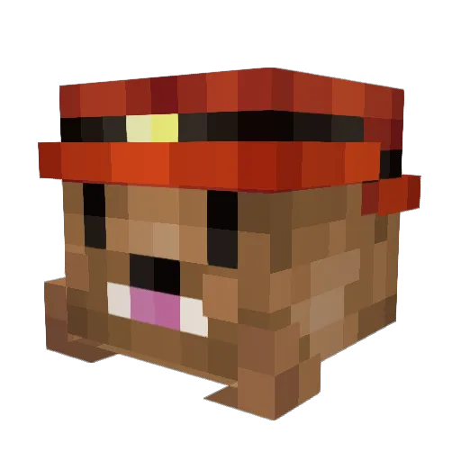 Woocie Minecraft avatar head, 3D render