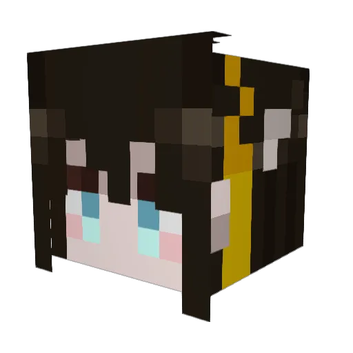 WoodLetter Minecraft avatar head, 3D render