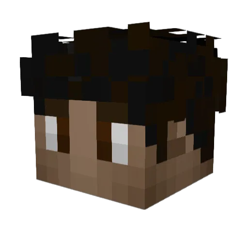 Wood_Hood Minecraft avatar head, 3D render
