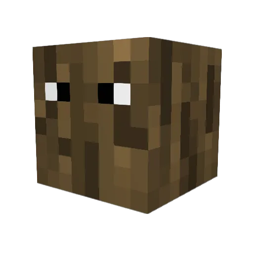 Wood_Nerd Minecraft avatar head, 3D render