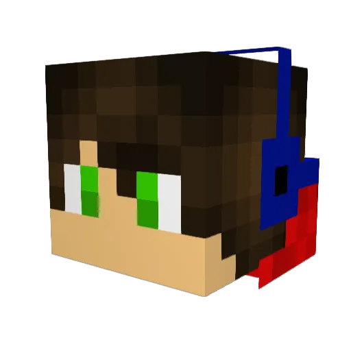 WoodenDoritos Minecraft avatar head, 3D render