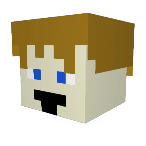 WoodenPig Minecraft avatar head, 3D render