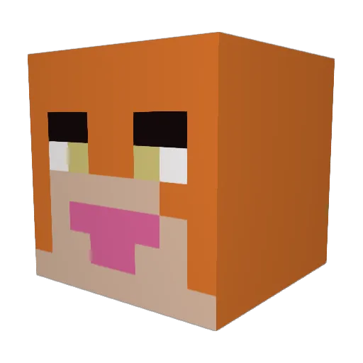 WoodenSlab Minecraft avatar head, 3D render